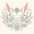 Boho Baby Owl - Hush the Moon